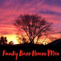 Funky Bass House Mix