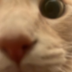 [DNB Flip] Gucci Mane- Going In (Juicycat Remix)