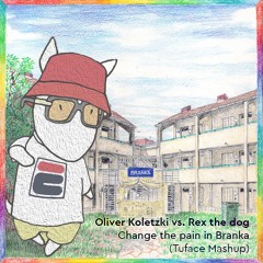 Oliver Koletzki Vs. Rex The Dog - Change the pain in Branka (Tuface Mashup)
