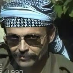 JİTEM KURTLAR VADİSİ