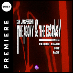 PREMIERE : Sam Jaspersohn - The Agony (Saqib Remix) [Beats On Time]