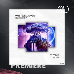 PREMIERE: Amir Telem, ICoen - CosmicBuddha (Extended Mix) [Polyptych]
