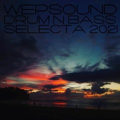 Wepsound - DNB SELECTA 2021