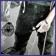 yanisé : CITIZEN'S ARREST