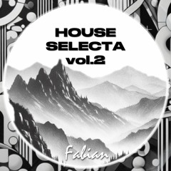 SELECTA - house mix vol.2