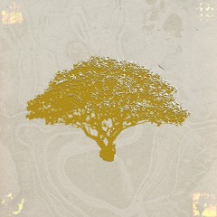 Pattern Tusk - Citronella
