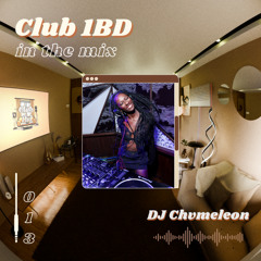 DJ Chvmeleon - Club 1BD Live Set @ Westside Motor Lounge - 013