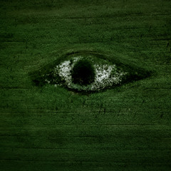 Third Eye Vision