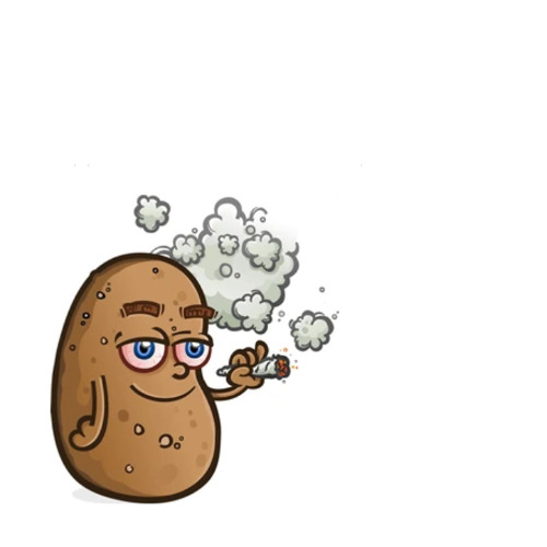 Potato