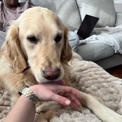 I like the way you kiss me vs. You’re Alive