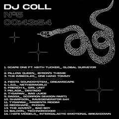 Noise Pollution Nº5: DJ COLL