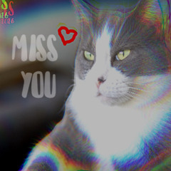 Little Window Guardian