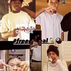 BaccToDaNorf  (Prod.CallMeJohnny)