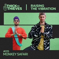 Raising the Vibration Mix #015 — MONKEY SAFARI