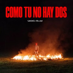 Como Tu No Hay Dos