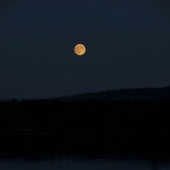 Moonlit