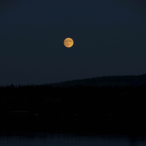 Moonlit