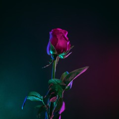 Roses (TRACK 012)