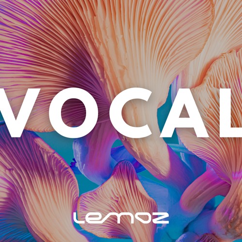 VOCAL - LEMOZ (Dj Mix)