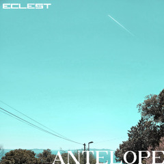 Antelope
