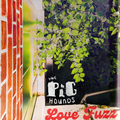 Love Fuzz
