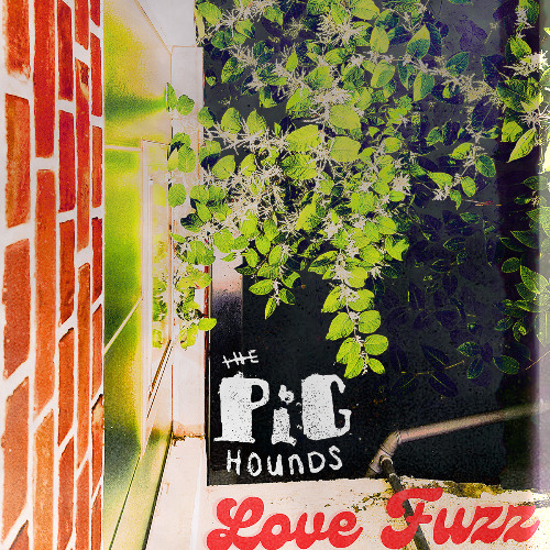 Love Fuzz