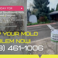 Mold Removal Southwest Hills Portland Oregon - Pure Maintenance Portland - 503-461-1006