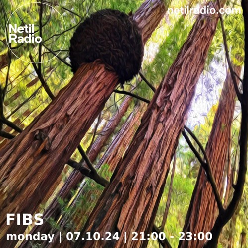 FIBS w/ Jaye Ward - 7th October 2024