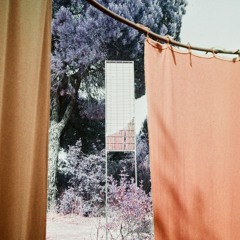 Fenna Fiction at Waking Life 2025