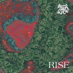 rise