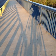 Din ungherul meu las și eu un gând (Arad '24)