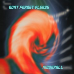 Don't Forget(Please)(Original Mix)