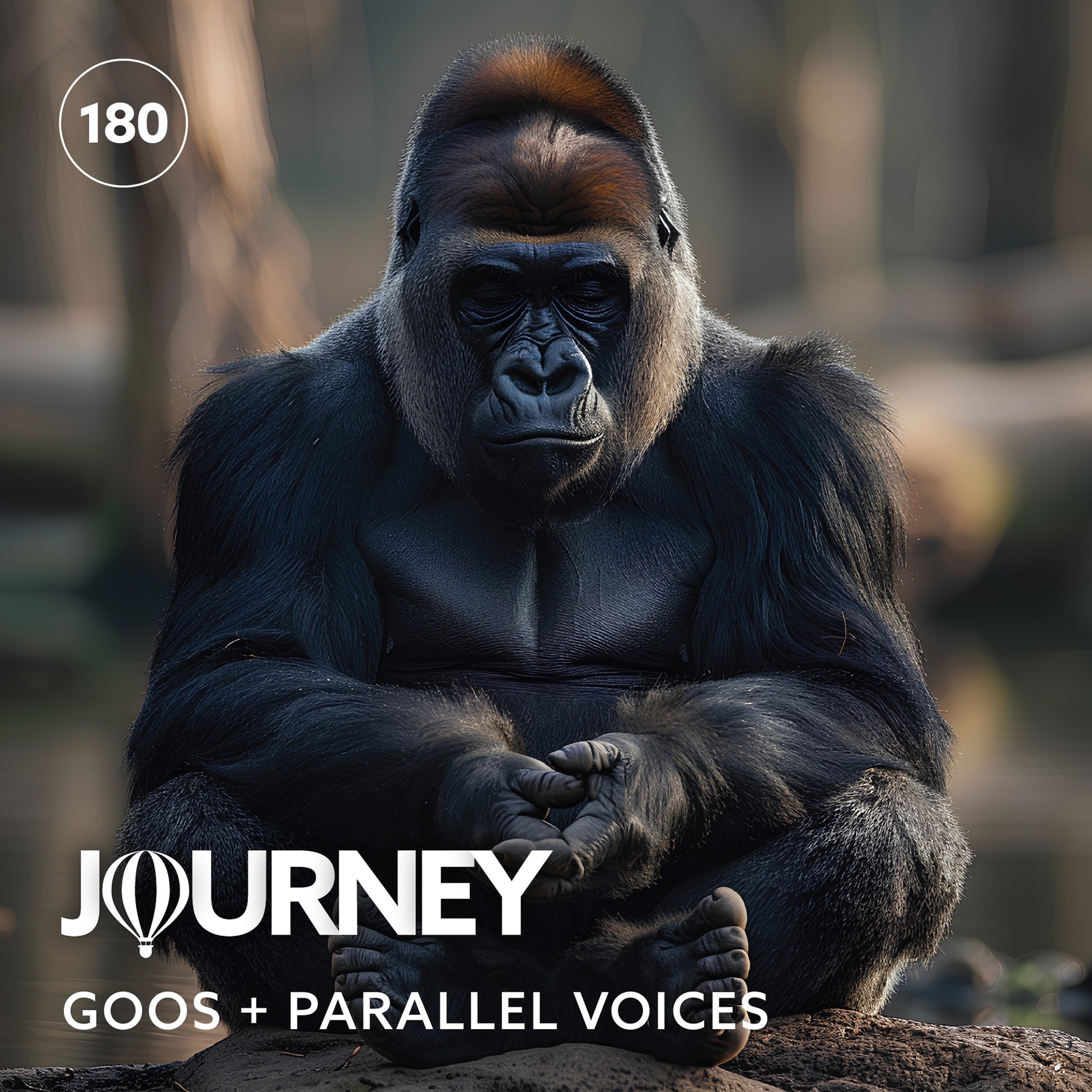 Journey - Episode 180 - Goos + Parallel Voices thumbnail
