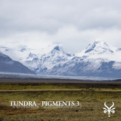 Tundra Pigments soundbank - Demo Song