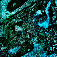 Climbing The Beanstalk