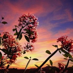 Al waqi'ah _ Zain abu kautsar