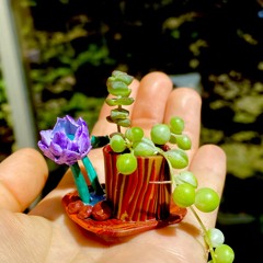 Miniatures