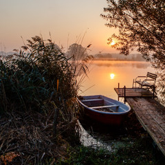 Magi@ian - My selection of Ian's magical musical tricks