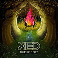 XED - We Have Everything We Need
