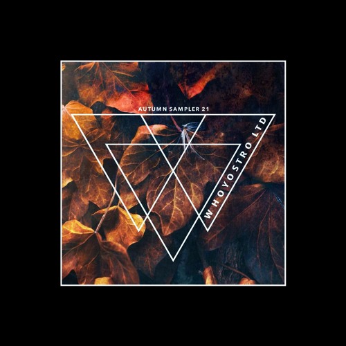Various Artists - Autumn Sampler 2021 [WHLTD174]
