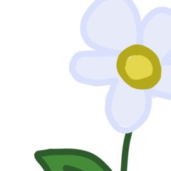 Dreams Of Daisies