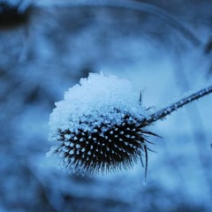Slippery Snow
