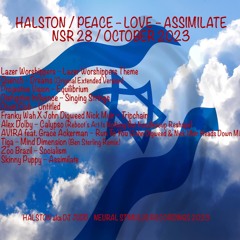 PEACE – LOVE – ASSIMILATE / NSR 28 / OCT 2023