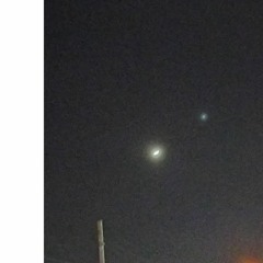 all mournful petal storms are dancing inside the very private spring of my head