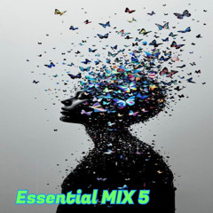 Essential MIX 5