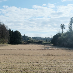 Log_20221230（demo）