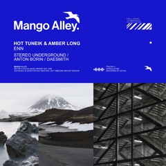 Premiere: Hot TuneiK & Amber Long - Enn (Stereo Underground Remix) [Mango Alley]