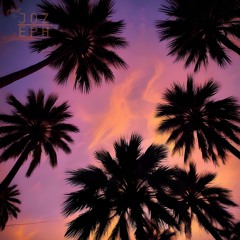 Palmtree Daydream