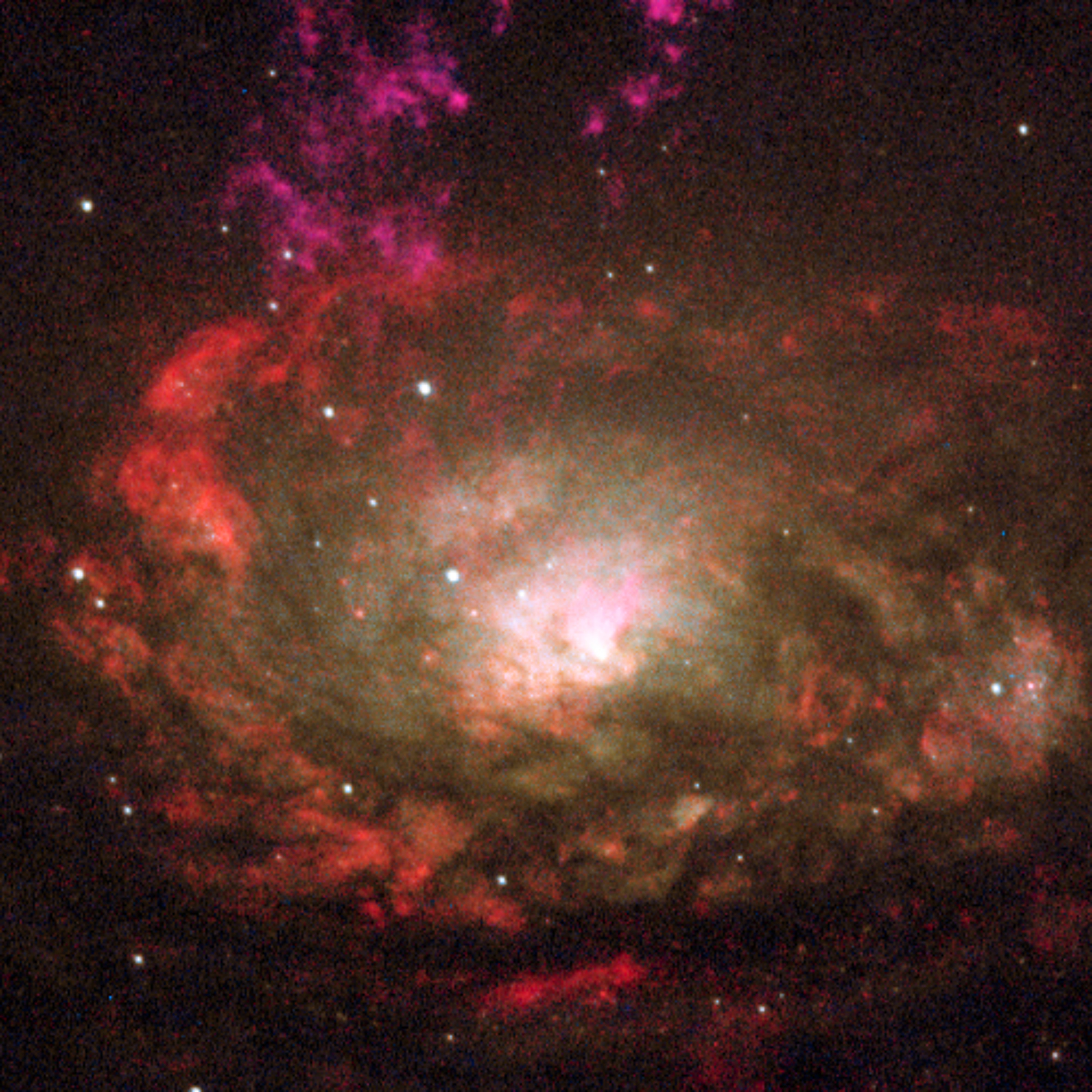 CHRO26008 - Galaxie du Compas