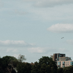 TP Dub Party / For Ange II